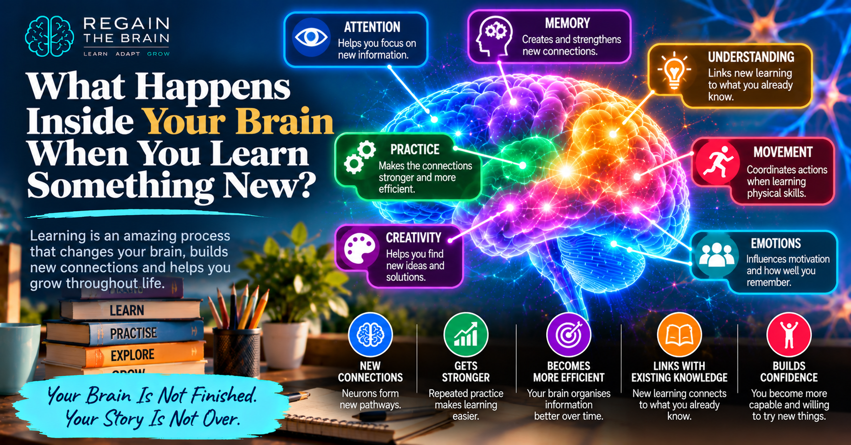 What Happens Inside Your Brain